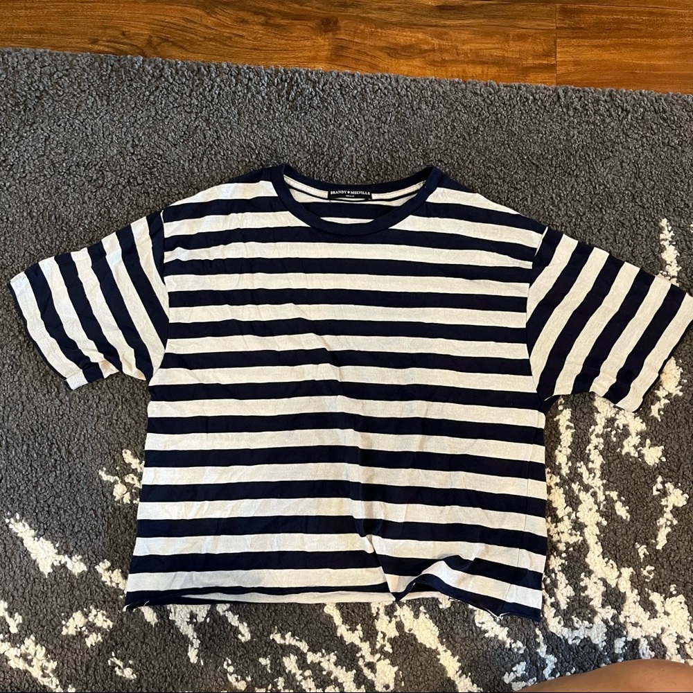 Brandy Melville Blue and White Stripe Top